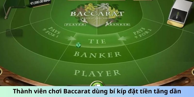 Thành viên chơi Baccarat dùng bí kíp đặt tiền tăng dần