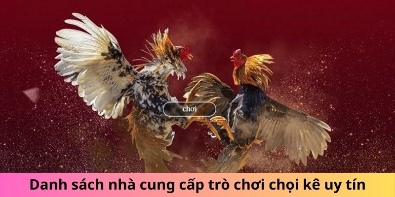 Danh sách nhà cung cấp trò chơi chọi kê uy tín