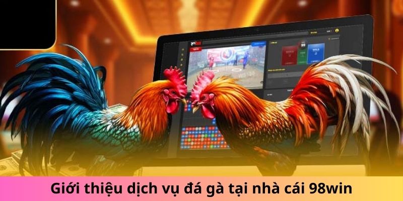 Giới thiệu dịch vụ đá gà tại nhà cái 98win