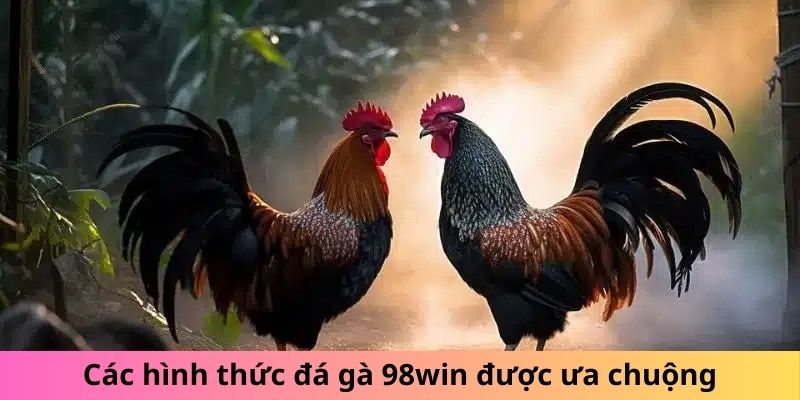 Các hình thức đá gà 98win được ưa chuộng