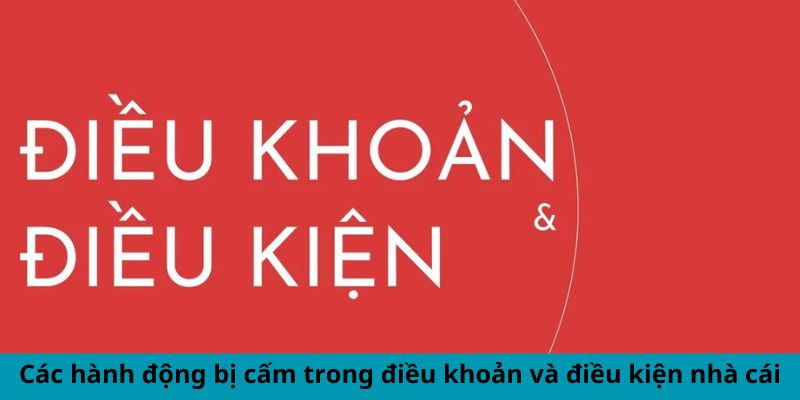 Các hành động bị cấm trong điều khoản và điều kiện nhà cái Các hành động bị cấm trong điều khoản và điều kiện nhà cái